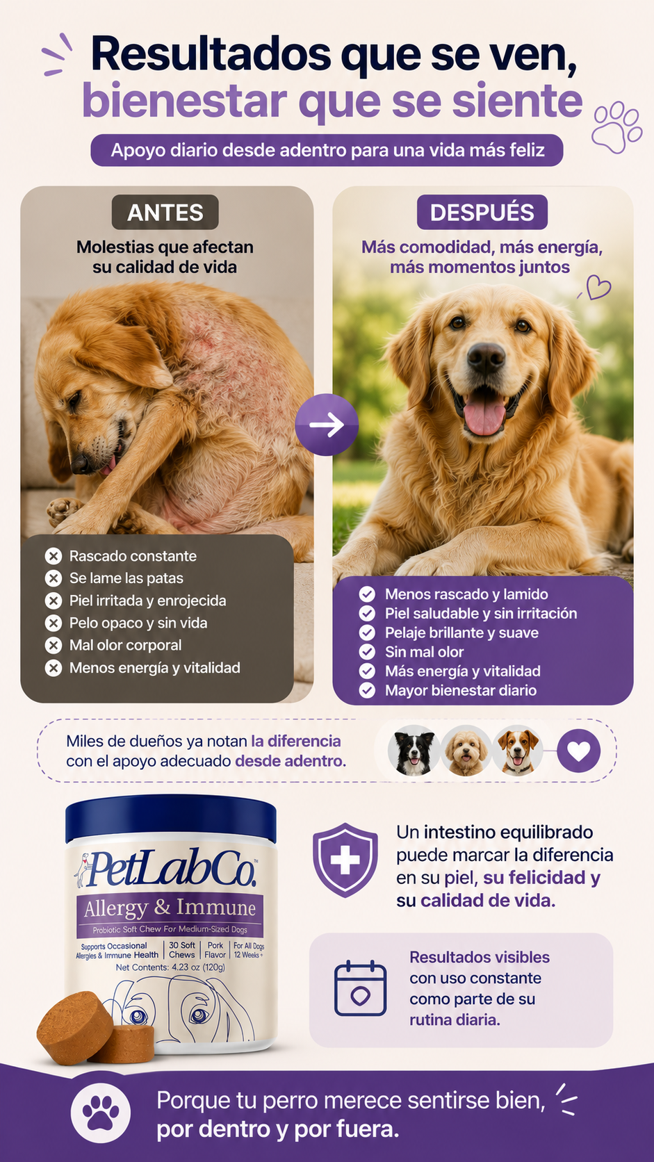 Producto