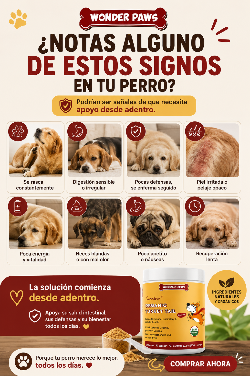 Producto